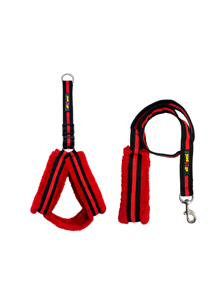 Red and black dog leash in india